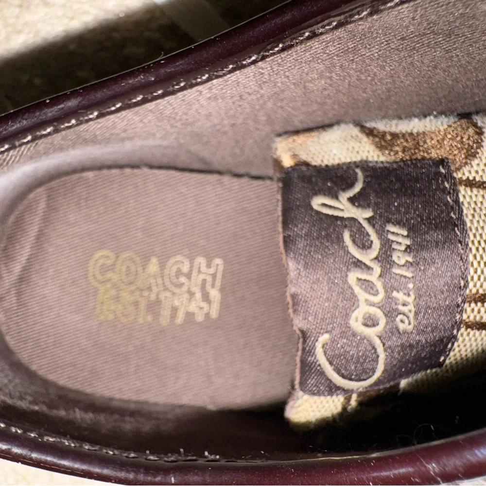 Coach Brown Sneakers - Picture 7 of 8